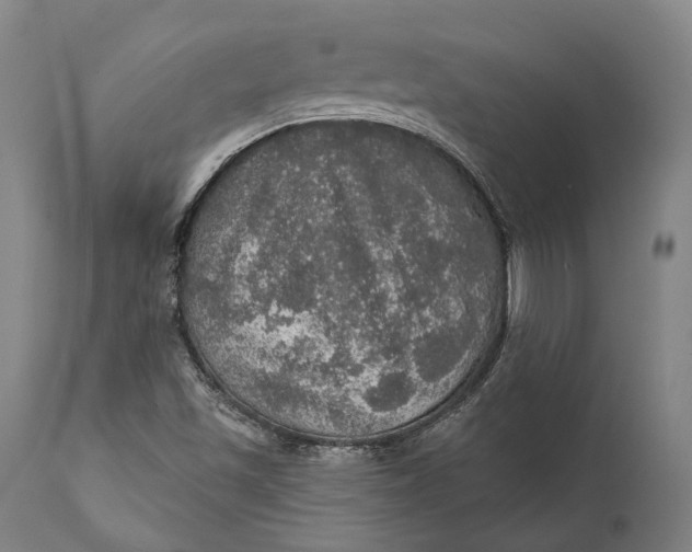 X0000111581501200908061312