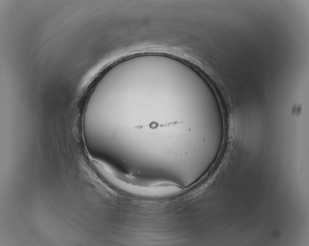 X0000111581502200908061312