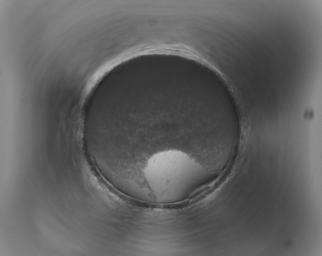 X0000111581506200908061312