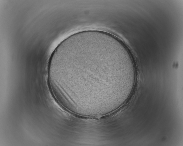 X0000111581512200908061313