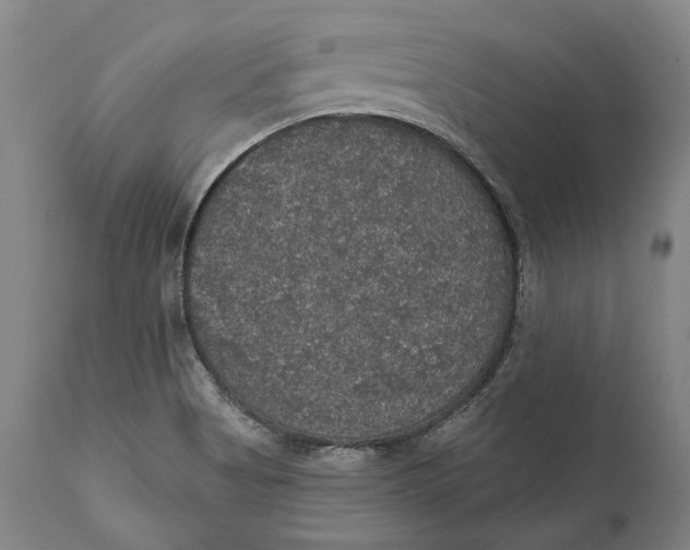 X0000111581513200908061313