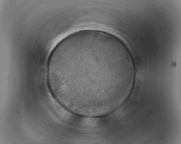 X0000111581514200908061313