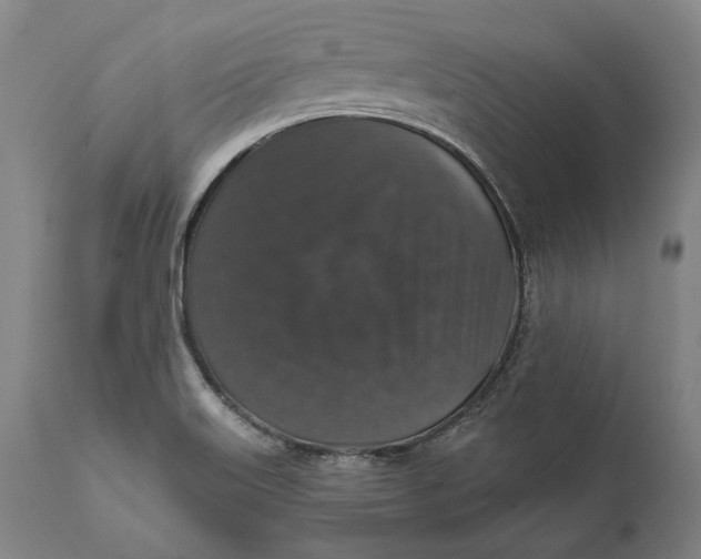 X0000111581515200908061313