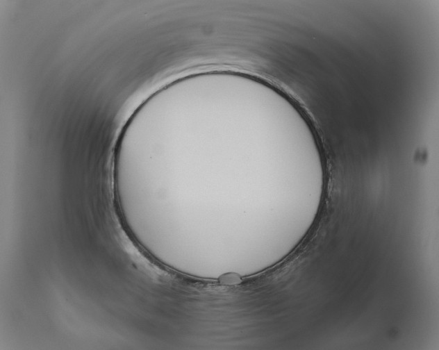 X0000111581516200908061313