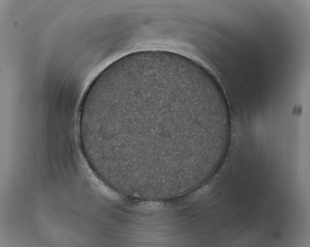 X0000111581517200908061313