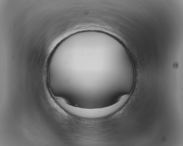 X0000111581518200908061313