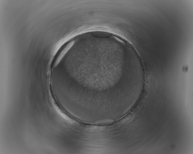 X0000111581519200908061313