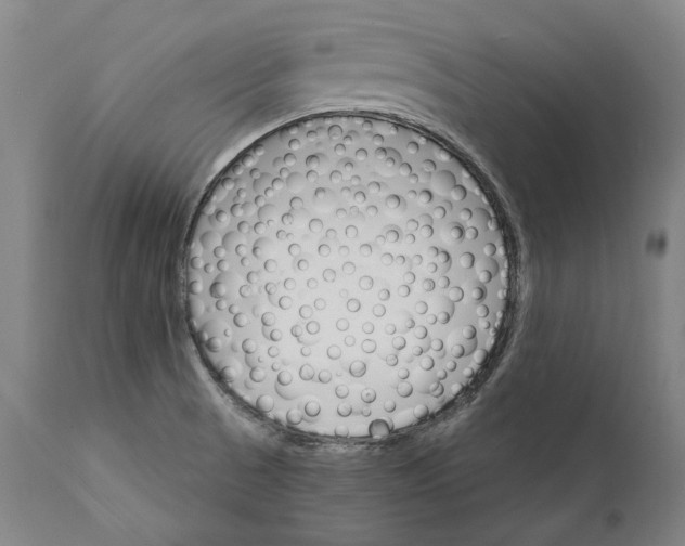 X0000111581521200908061313