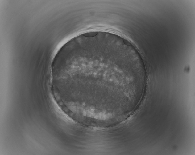 X0000111581522200908061313