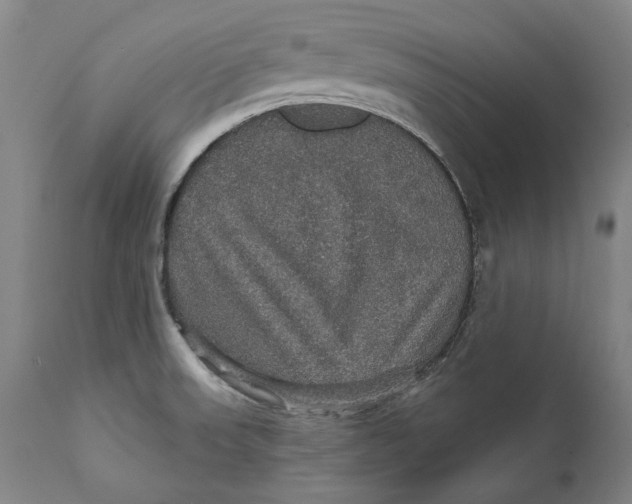 X0000111581523200908061313