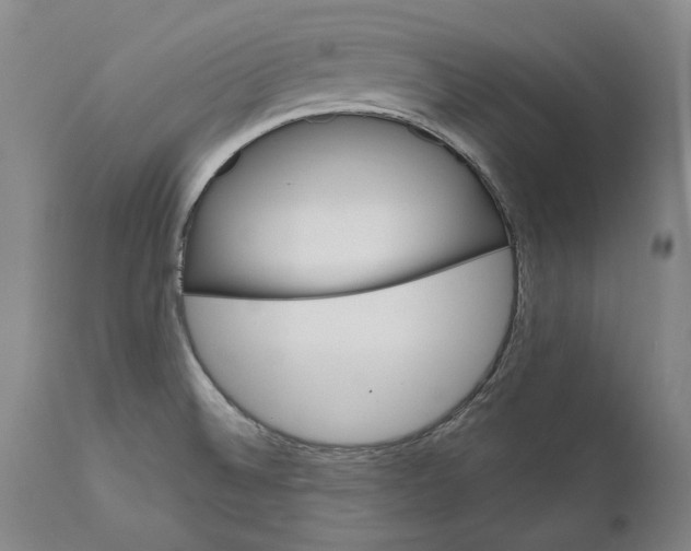 X0000111581524200908061313