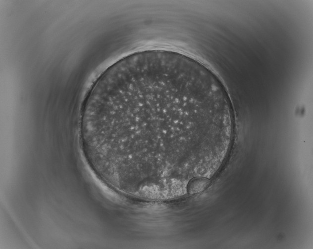 X0000111581525200908061313