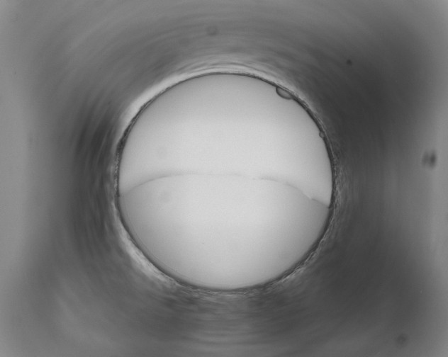 X0000111581526200908061313