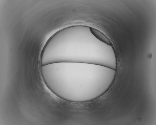 X0000111581527200908061313