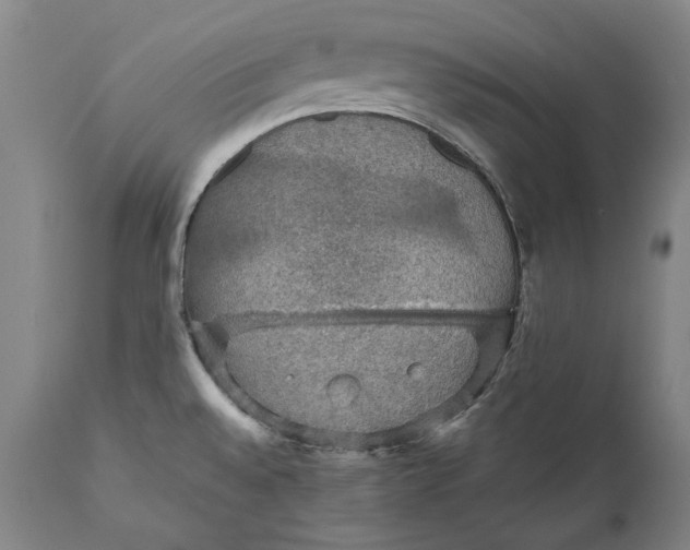 X0000111581528200908061313