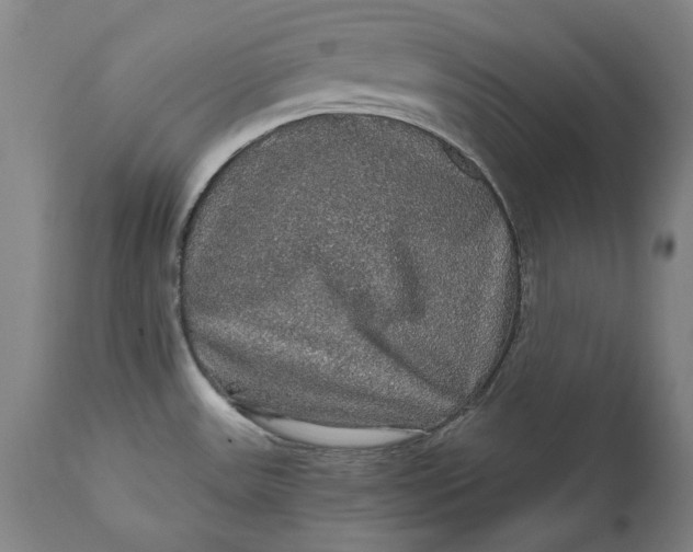 X0000111581531200908061313