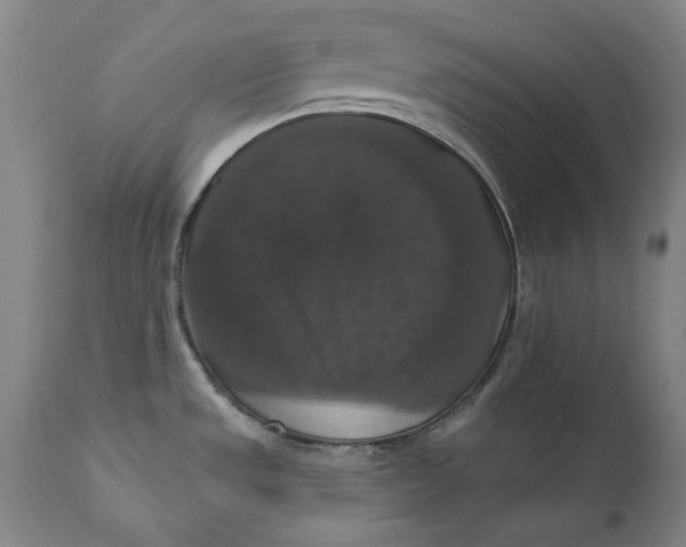 X0000111581533200908061313