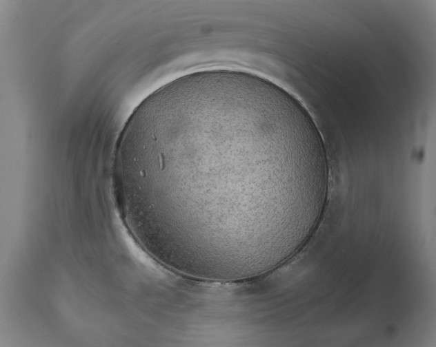 X0000111581534200908061313