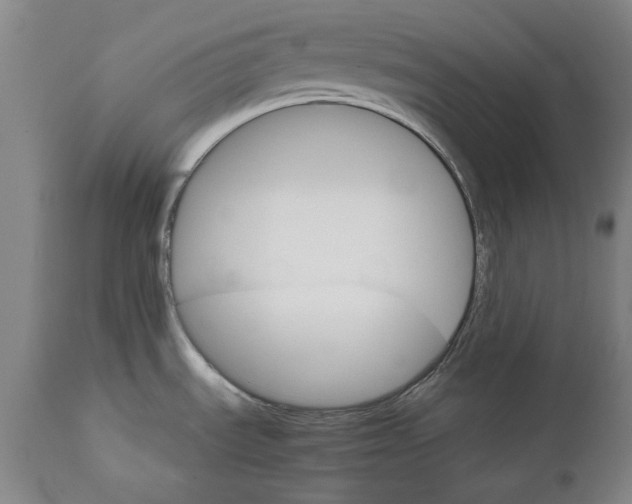 X0000111581535200908061313