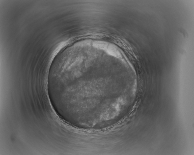 X0000111580003200908131329