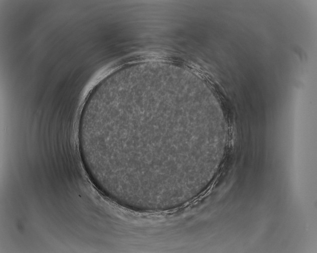 X0000111580004200908131329