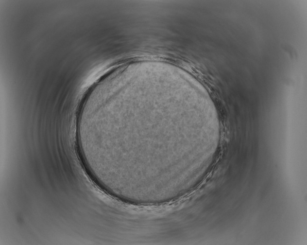 X0000111580005200908131329