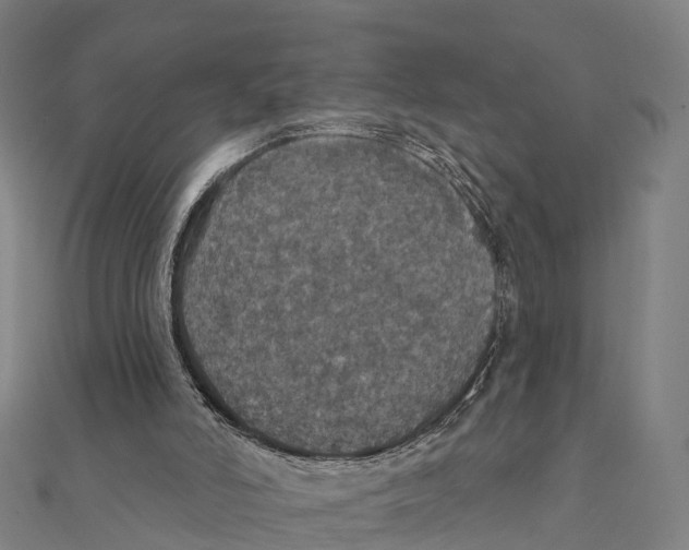 X0000111580006200908131329