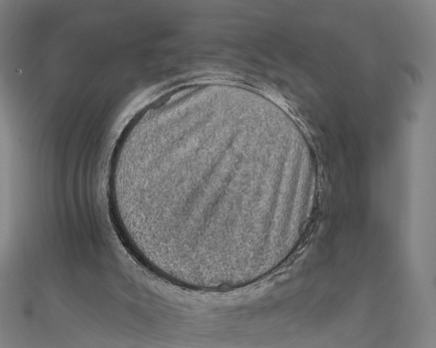 X0000111580007200908131329