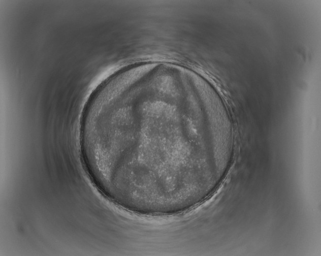 X0000111580008200908131329