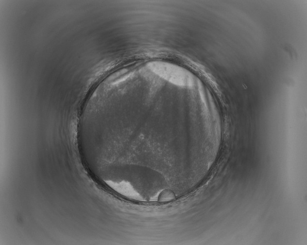 X0000111580010200908131328