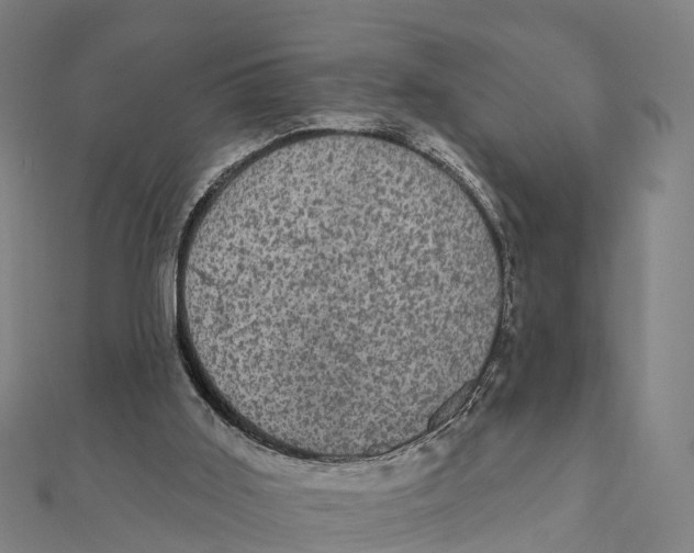 X0000111580011200908131328