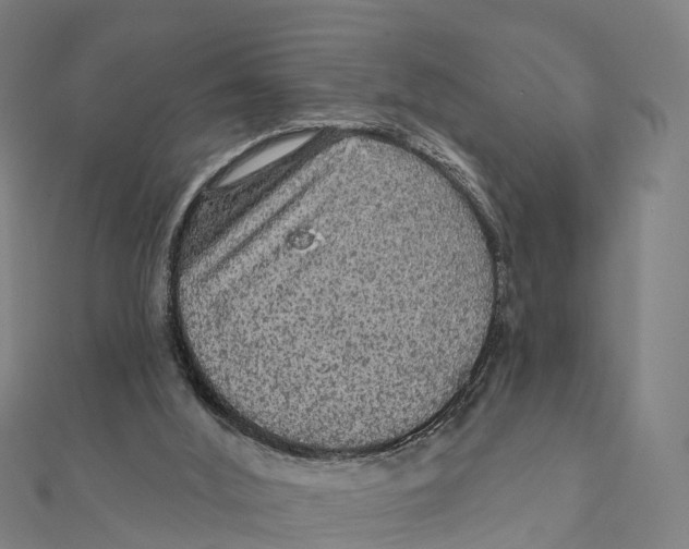 X0000111580012200908131328