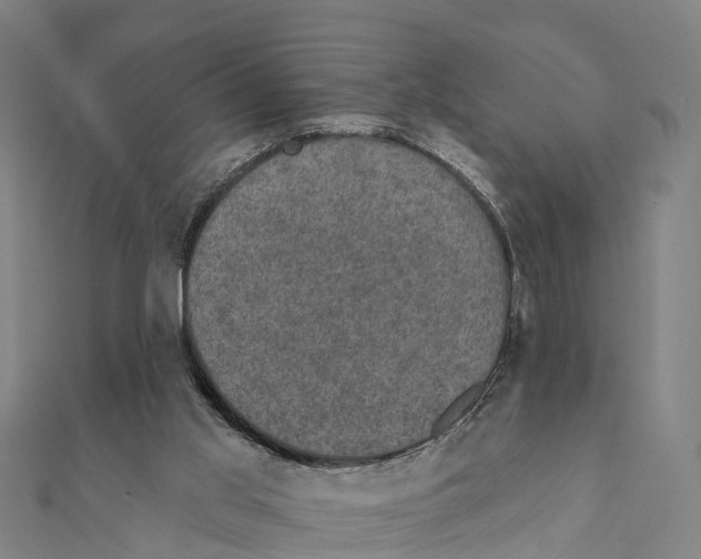 X0000111580013200908131328