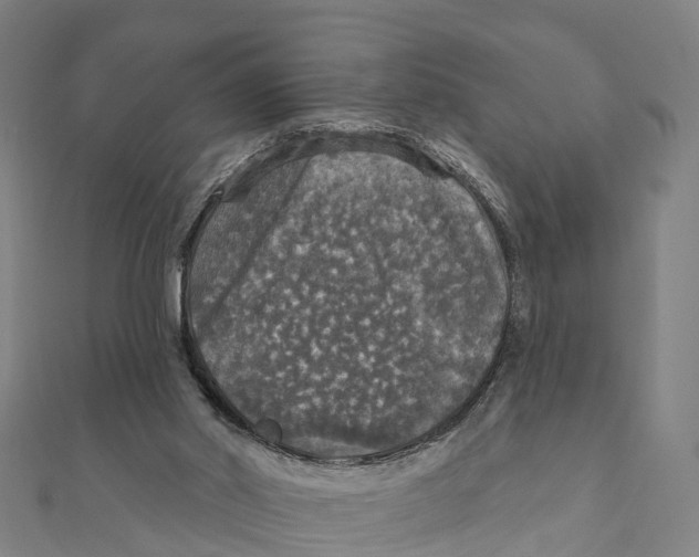 X0000111580014200908131328