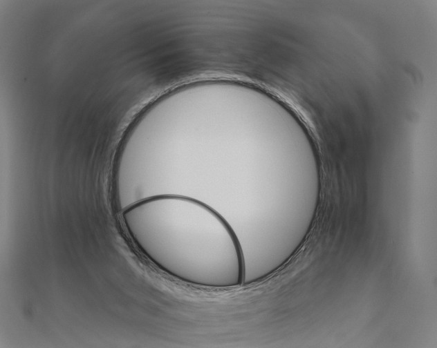 X0000111580015200908131328