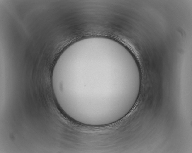 X0000111580017200908131328