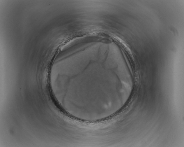 X0000111580018200908131328