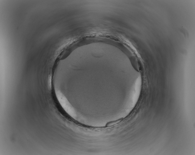 X0000111580019200908131328