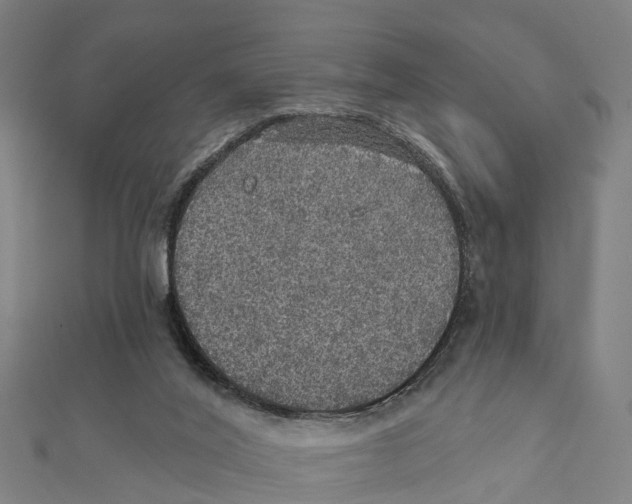 X0000111580020200908131328