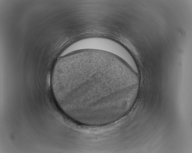 X0000111580021200908131328