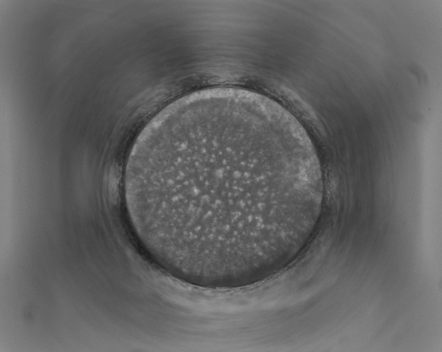 X0000111580026200908131328