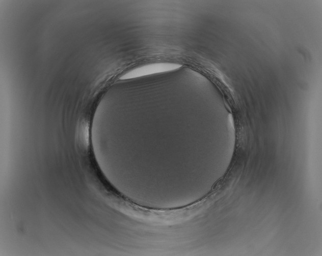 X0000111580027200908131328