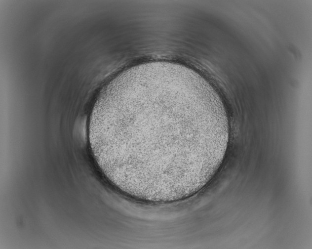 X0000111580028200908131328