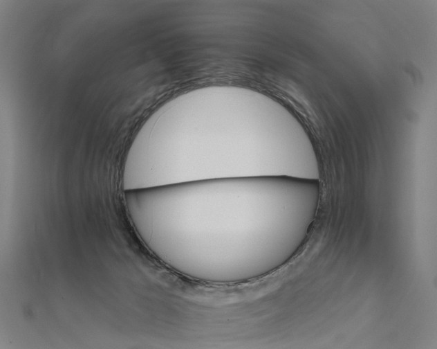 X0000111580029200908131328