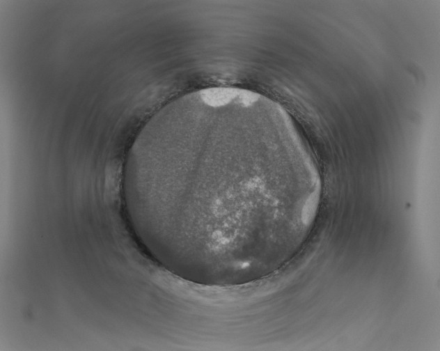 X0000111580030200908131328