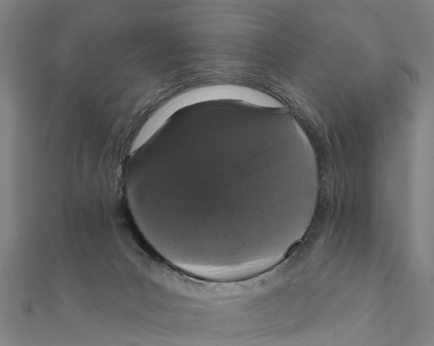 X0000111580031200908131328