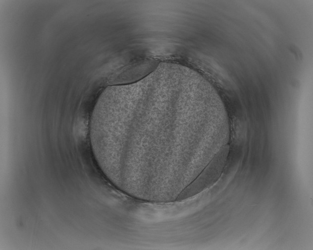 X0000111580033200908131328