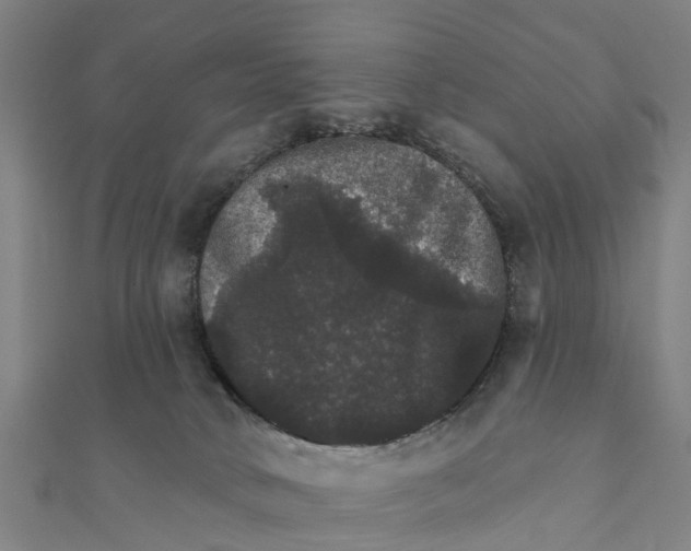 X0000111580034200908131328