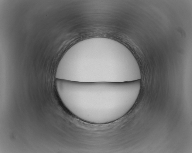 X0000111580035200908131328