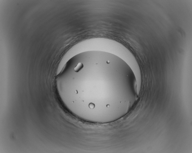 X0000111580036200908131328